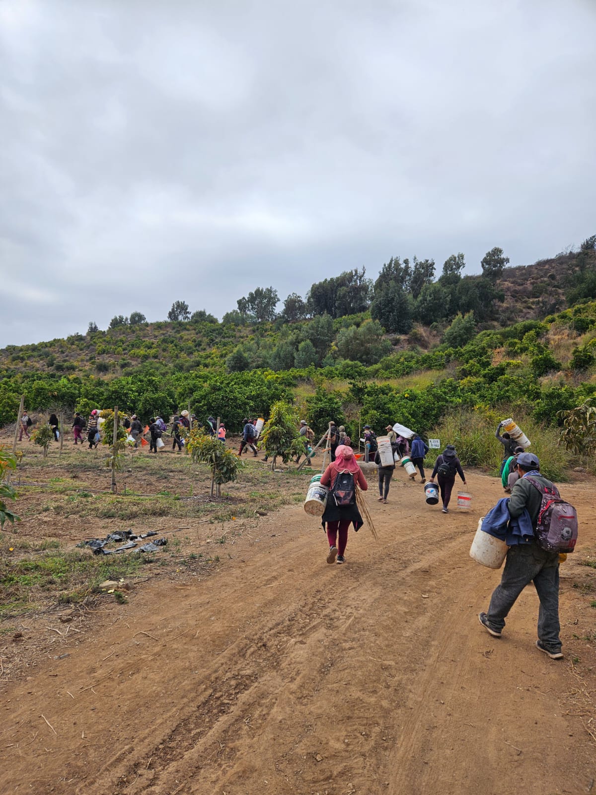 Personal de Agroservicios LJR en faena agrícola