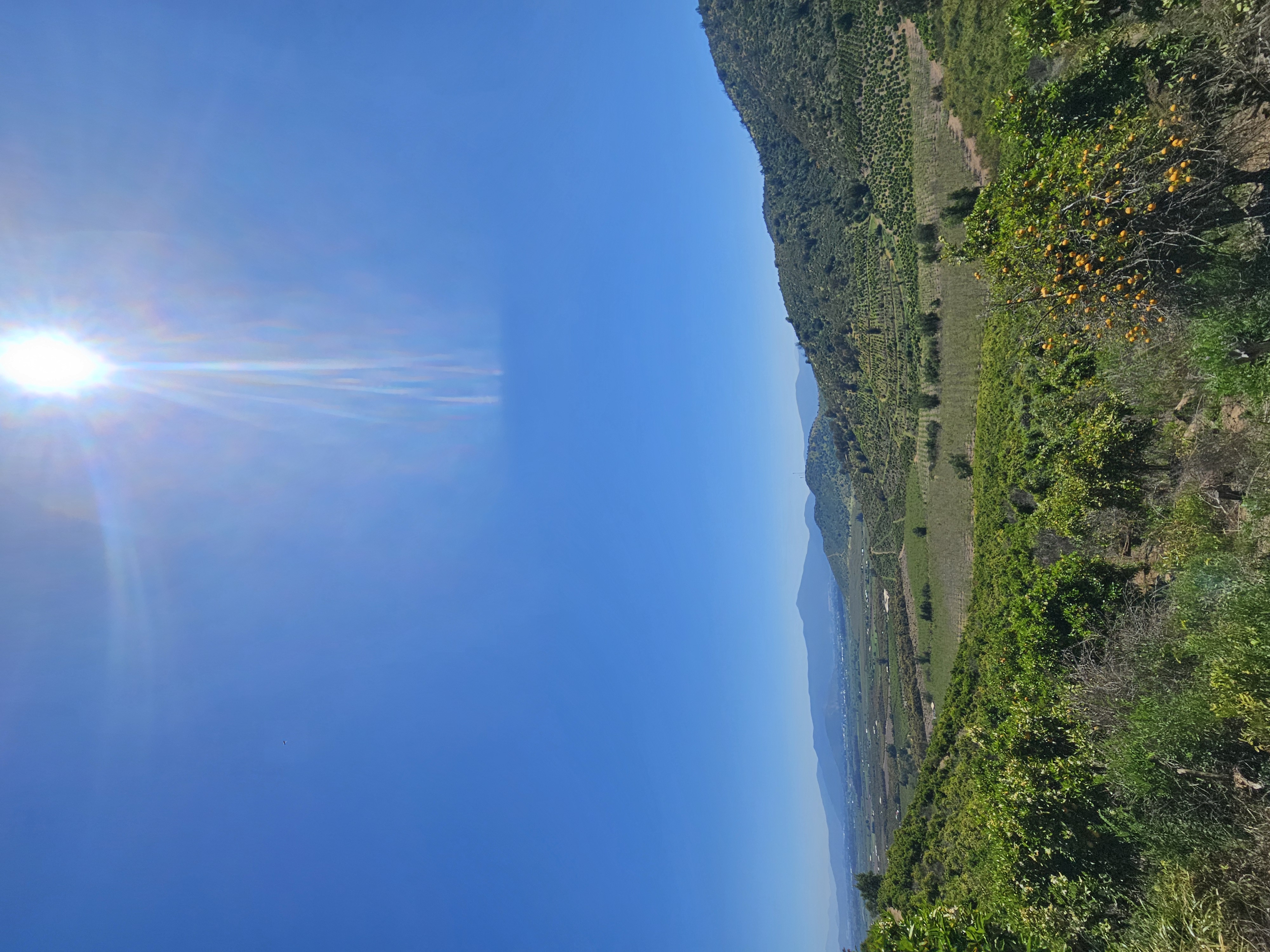 Paisaje agrícola de los fundos donde operamos