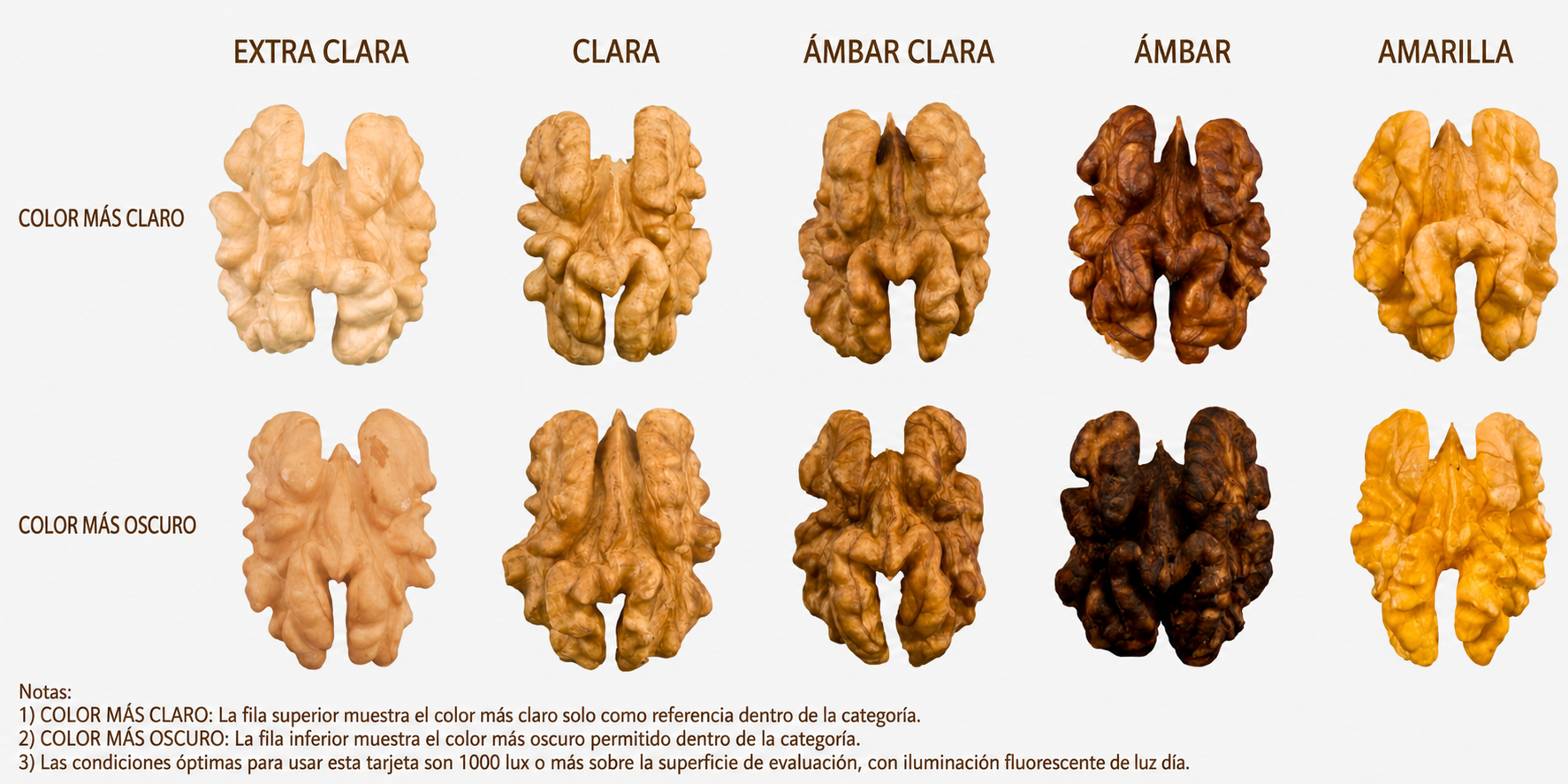 Clasificación de nueces por color